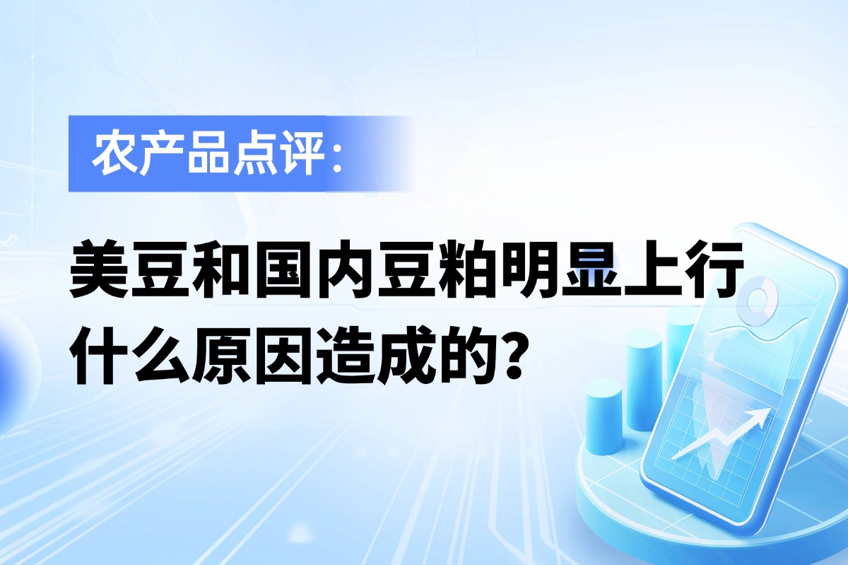 美豆和国内豆粕明显上行，什么原因造成的？
